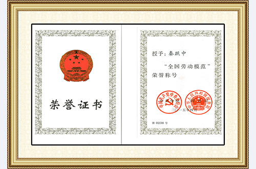 Individual national model worker