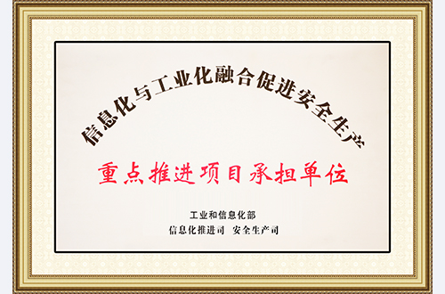 Units undertaking key informatization projects