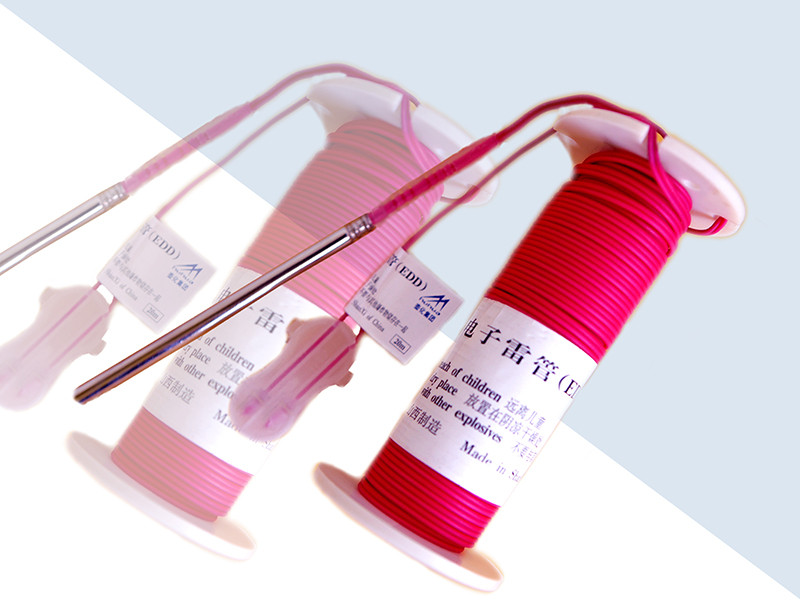 Digital electronic detonator