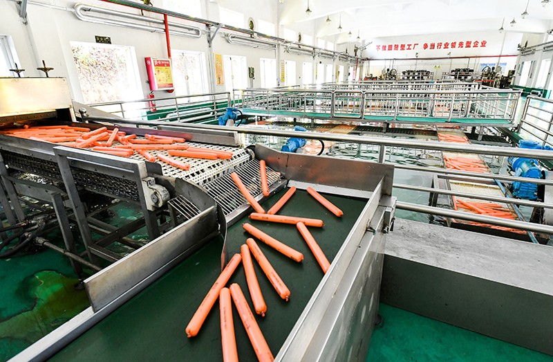 Gelatinous emulsion explosive production line