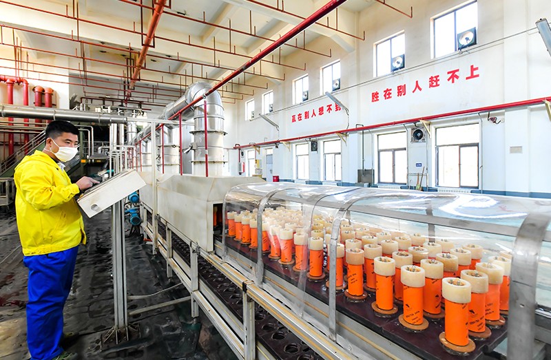 Fully continuous automatic detonator production line